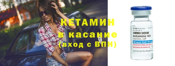 прущие грибы Бородино
