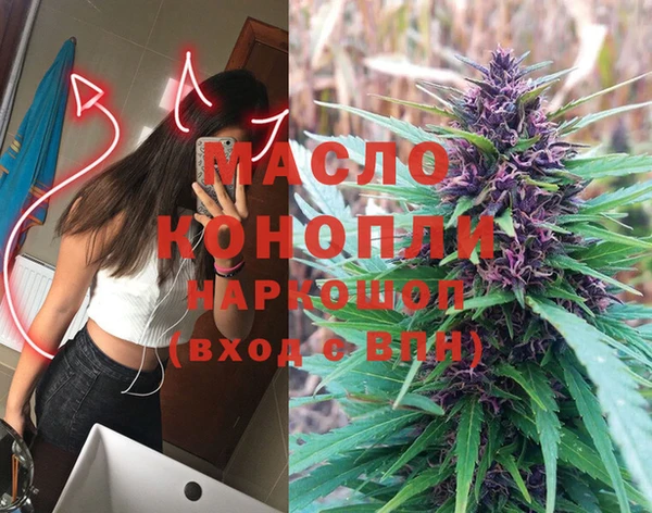молекула духа Богородск