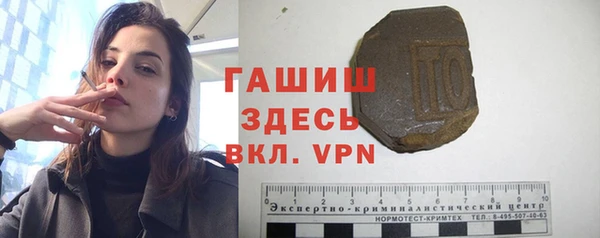 прущие грибы Бородино