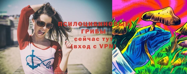 прущие грибы Бородино