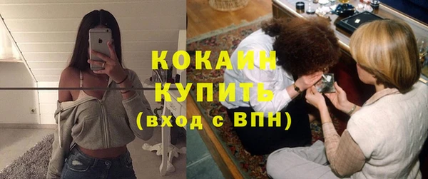 молекула духа Богородск