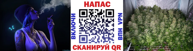 Канабис индика  Далматово 